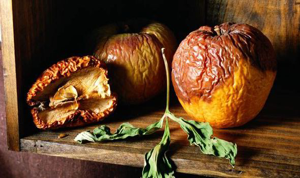 Thực phẩm hết hạn, đâu là cách nhận biết?