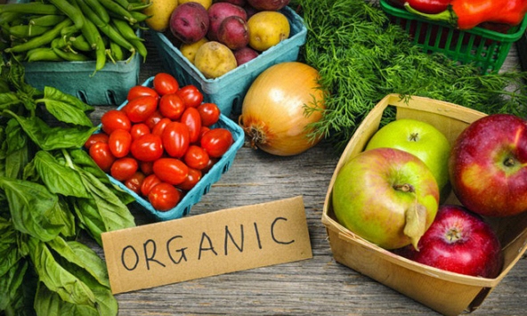 Trò chuyện với PGS.TS Phạm Thị Vượng về Nông nghiệp hữu cơ