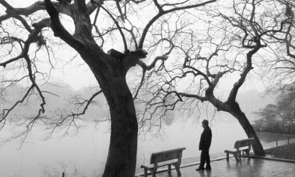 Vua chó mèo Bảo Sinh - một Bát Phố hiếm hoi của Hà Nội xưa