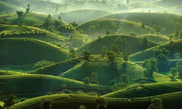 Vẻ đẹp Việt Nam nhìn từ trên cao lên tạp chí ảnh National Geographic 