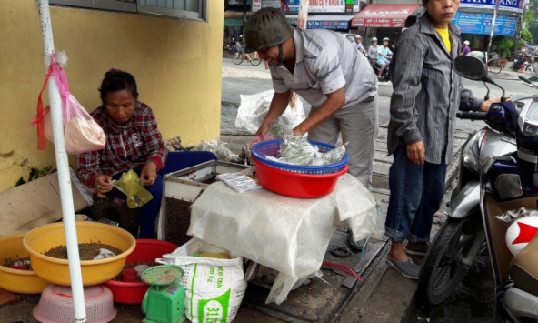 Hôn mê, tử vong vì ăn côn trùng