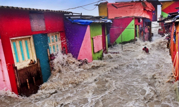  Những tác phẩm về môi trường đẹp nhất năm 2019