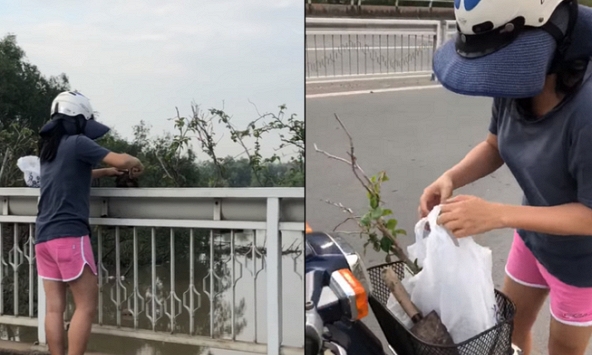 Người phụ nữ ngang nhiên trộm cây xanh trồng trên lan can cầu ở quận 7
