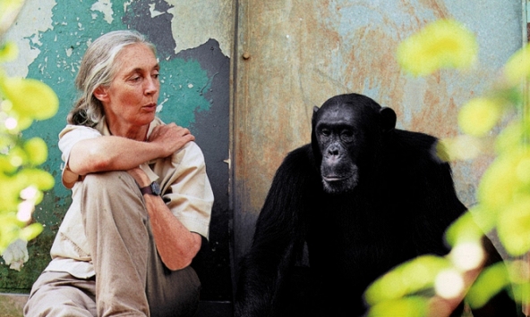 10 nhà khoa học nữ thiên tài trong lịch sử nhân loại