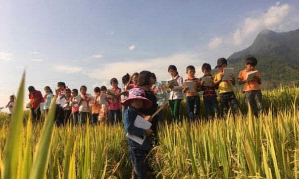 Ấn tượng với tiết học ngoài cánh đồng của học sinh vùng cao