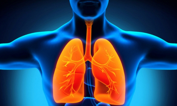 Không khí ô nhiễm, ăn gì để giải độc phổi?