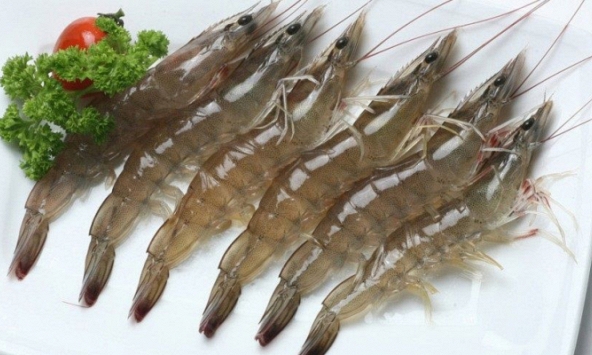 Giá thực phẩm ngày 9/10: Tôm thẻ giảm 30.000 đồng/kg