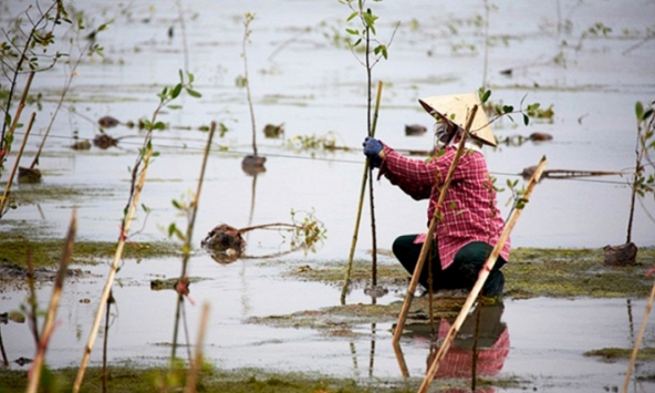 Việt Nam cần ghi nhận vai trò của phụ nữ trong chính sách ứng phó với biến đổi khí hậu