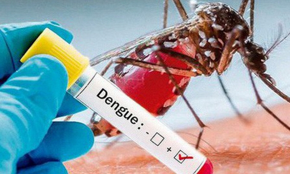Dịch sốt xuất huyết năm 2019: Những con số đáng báo động
