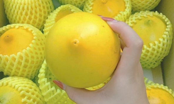 Trái cây nhập khẩu: Giá đắt chưa chắc an toàn