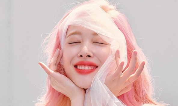 Cùng nhìn lại nguyện vọng của Sulli 