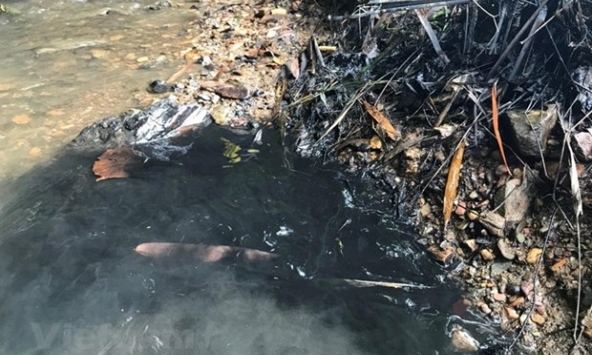 Hà Nội sẽ kiến nghị điều tra việc nước nhiễm dầu thải vẫn bán cho dân