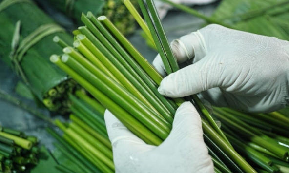 Ống hút thân thiện môi trường chưa thân thiện sức khỏe