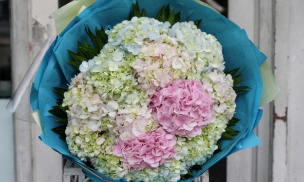 Nhân ngày 20.10, cùng tìm hiểu thông điệp của những loài hoa