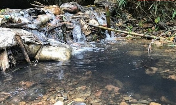 Điều tra nữ giám đốc thuê người đổ chất thải làm ô nhiễm nước sông Đà