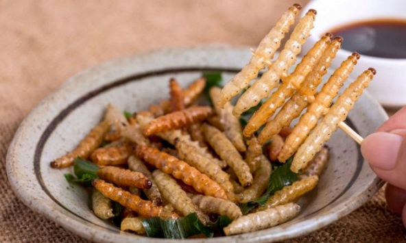 Ăn côn trùng để bảo vệ môi trường