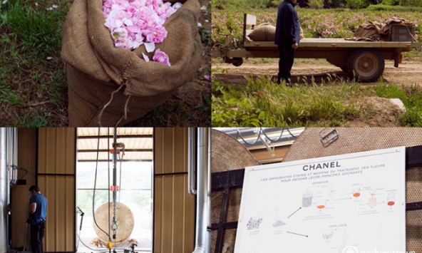 Cận cảnh quy trình tạo ra lọ nước hoa quyến rũ bậc nhất thế giới