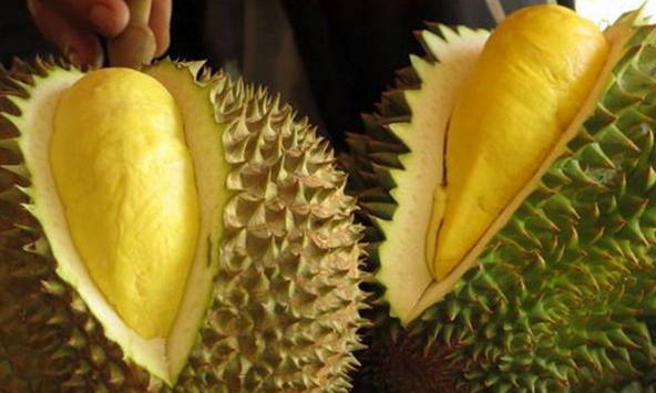 Sầu riêng Việt Nam lần đầu ra mắt người tiêu dùng Australia