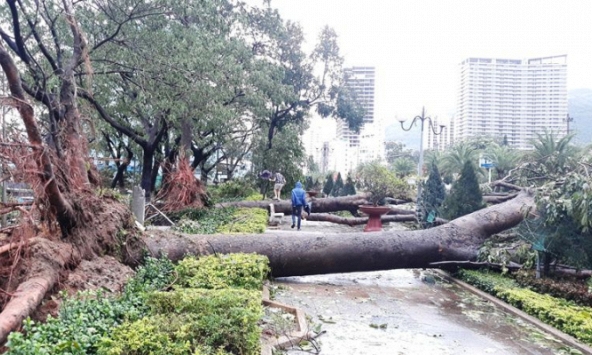 Hình ảnh miền Trung ngổn ngang trong cơn bão số 5