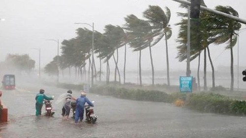 Áp thấp nhiệt đới đã vào đất liền