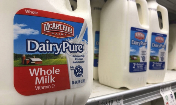 Vì sao công ty sữa lớn nhất nước Mỹ phải phá sản?
