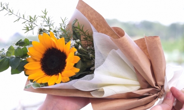 Hướng dẫn cách bó hoa Hướng Dương dành tặng ngày 20/11