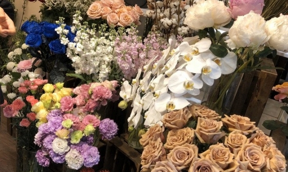 Hoa tặng thầy cô giáo ngày 20/11 có giá lên đến hàng chục triệu đồng