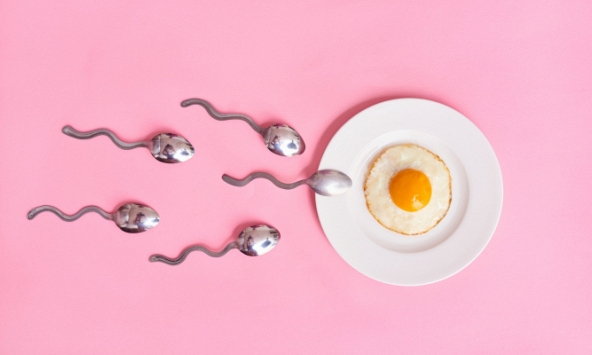 'Canh' thời điểm dễ thụ thai: Không phải sáng hay tối, “lúc này” là tốt nhất