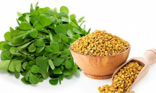 Cỏ cà ri ngừa lão hóa, trị tiểu đường và nhiều lợi ích khác