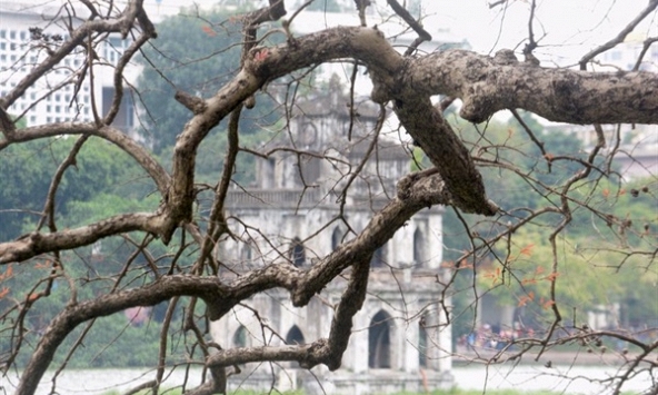 Bắc Bộ trời rét, Hà Nội nhiệt độ thấp nhất xuống mức 12 độ C