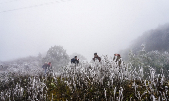 Bắc Bộ có thể xuất hiện băng giá và sương muối