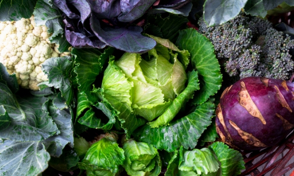 6 loại 'thần dược' mùa đông ở ngay bên cạnh mà nhiều người chưa biết