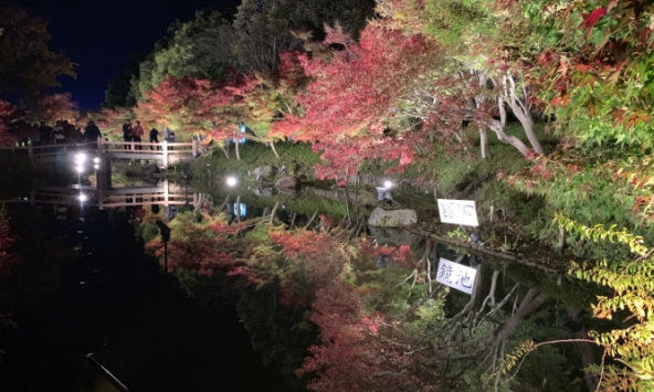 Sắc màu 4 mùa trong lễ hội ánh sáng lớn nhất Nhật Bản