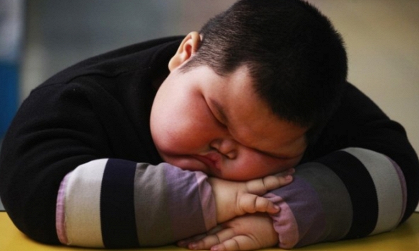 Các nhà khoa học chứng minh trẻ béo phì có IQ thấp