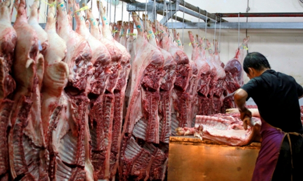 Lên 90.000 đồng/kg nhưng vẫn không có heo hơi để bán