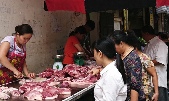 Chính phủ phê bình Bộ Nông nghiệp, yêu cầu báo cáo tình hình thịt lợn tăng giá