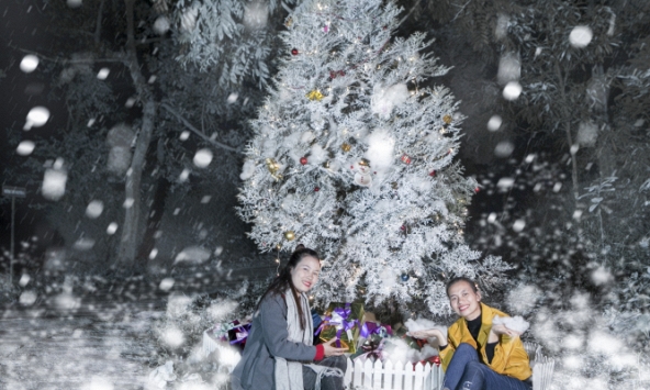 Giáng Sinh đi ngắm tuyết rơi ở Hà Nội giữa không gian 1400 cây bách xanh