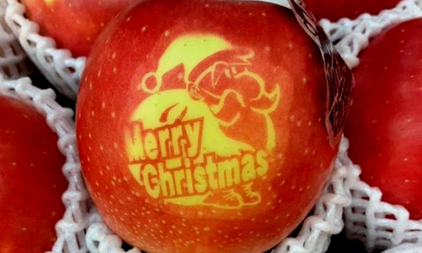 Nửa triệu đồng một trái táo Giáng Sinh vẫn hút khách