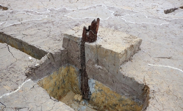 Phát hiện bãi cọc thế kỷ 13-15 ở Hải Phòng: Cần phải thận trọng khi kết luận