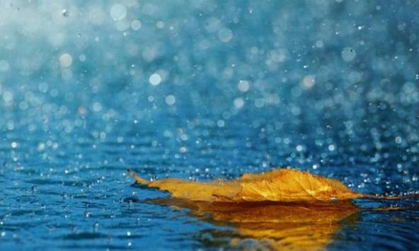 Chợ chạp sũng mưa