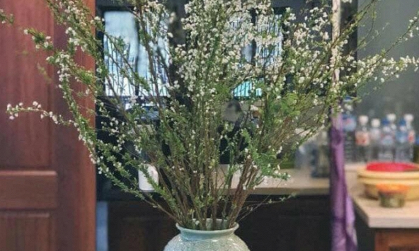 Nhiều loại hoa từ Trung Quốc được người tiêu dùng săn đón