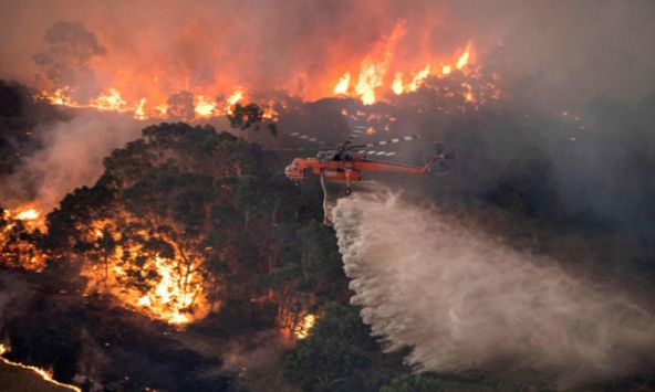 Cảnh sát Úc tiến hành truy tố 24 người về tội cố ý phóng hỏa gây cháy rừng