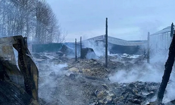  ĐSQ xác minh danh tính 8 người chết vì hỏa hoạn ở Nga, nghi toàn bộ là người Việt Nam