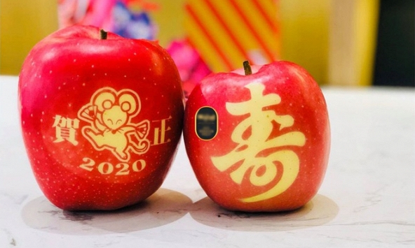 Táo in hình chuột mừng Tết Canh Tý giá gần 800.000 đồng/trái