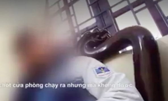 Cục trẻ em gửi văn bản khẩn yêu cầu điều tra về đường dây mua bán trinh trẻ em