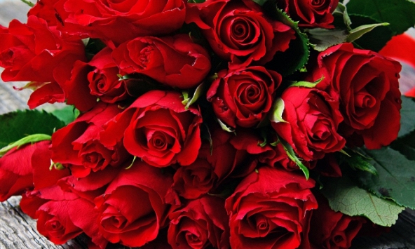 Bí quyết chăm sóc hoa ngày Tết