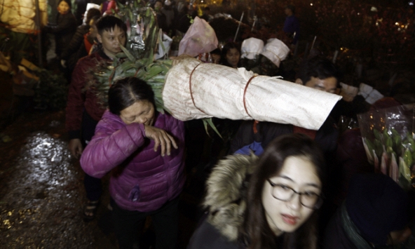 Vất vả trắng đêm ở chợ hoa Quảng An