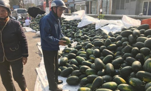 Bộ Công Thương đưa giải pháp cho nông sản Việt Nam trước tình hình dịch bệnh