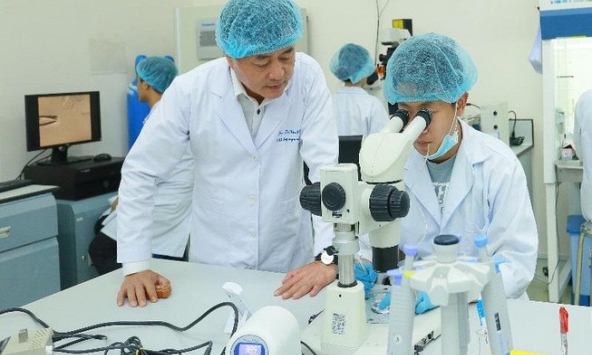 Việt Nam: cấy phôi nhân bản thành công, chờ đón những chú bò nhân bản vô tính chào đời trong năm 2020