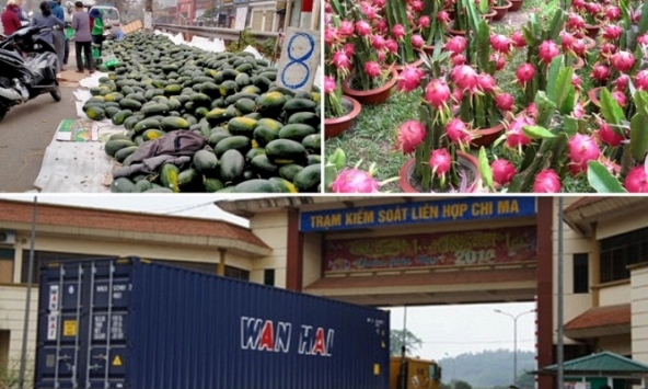 Không chuyển hàng nông sản lên biên giới Trung Quốc